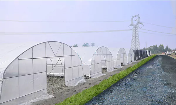 Polytunnel Plastic Hoop House 