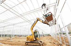 Greenhouse Construction