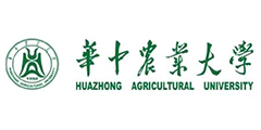 图片7